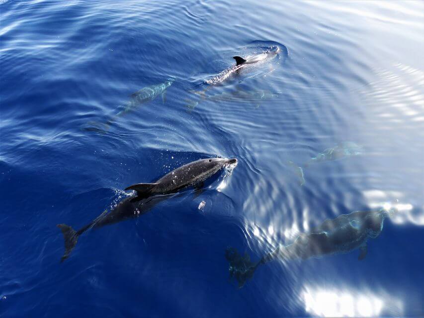 Tenerife