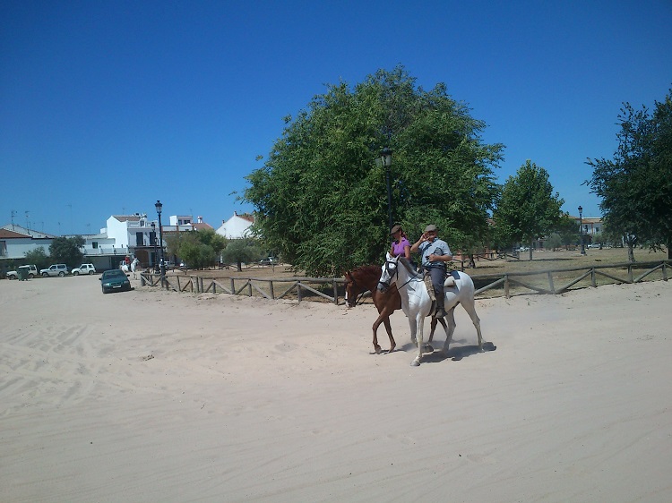 Pferde in die Strassen von El Rocio bei Doñana Nationalpark