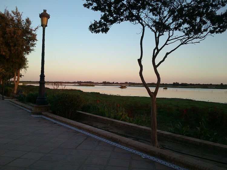 Seengebiete von Doñana von der Promenade in El Rocio gesehen