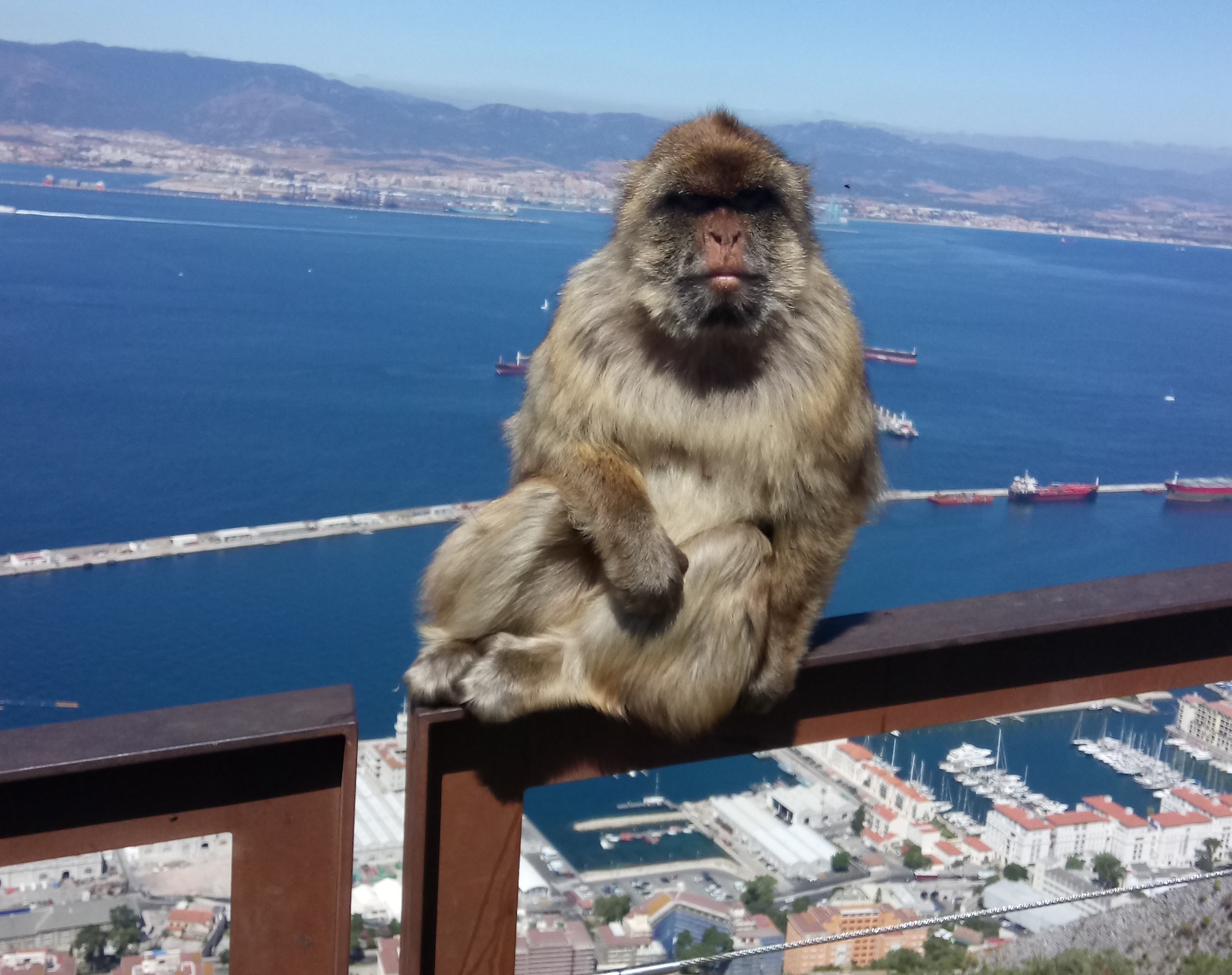 Authentischer Eindruck von Gibraltar an einem Vormittag - und dann schnell weiter!