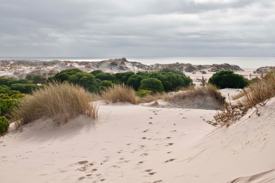 Doñana-Nationalpark