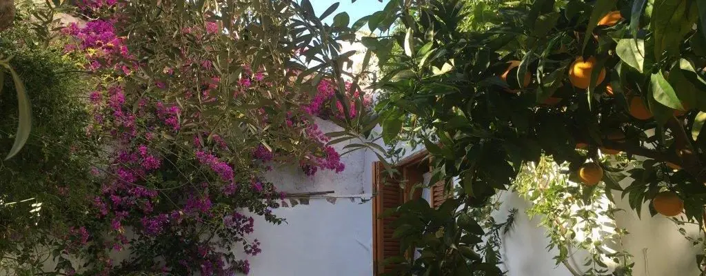 Romantisches Dorfhaus für 2 Personen in Otivar, Granada