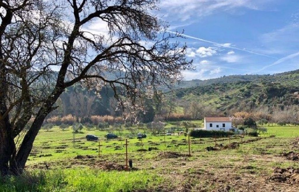 Unglaubliche schöne Landhaus im Natur ausserhalb vom schöne weiße Stadt Olvera