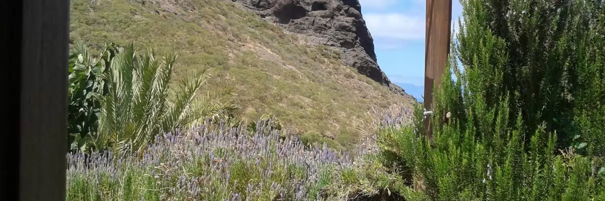 Kanaren Teneriffa Los Carrizales Finca 1864