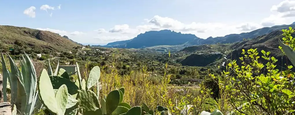 Kanaren Gran Canaria Taidía Finca 4171