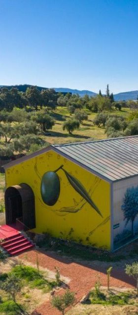 Økologisk olivenolietur med smagning, Ronda