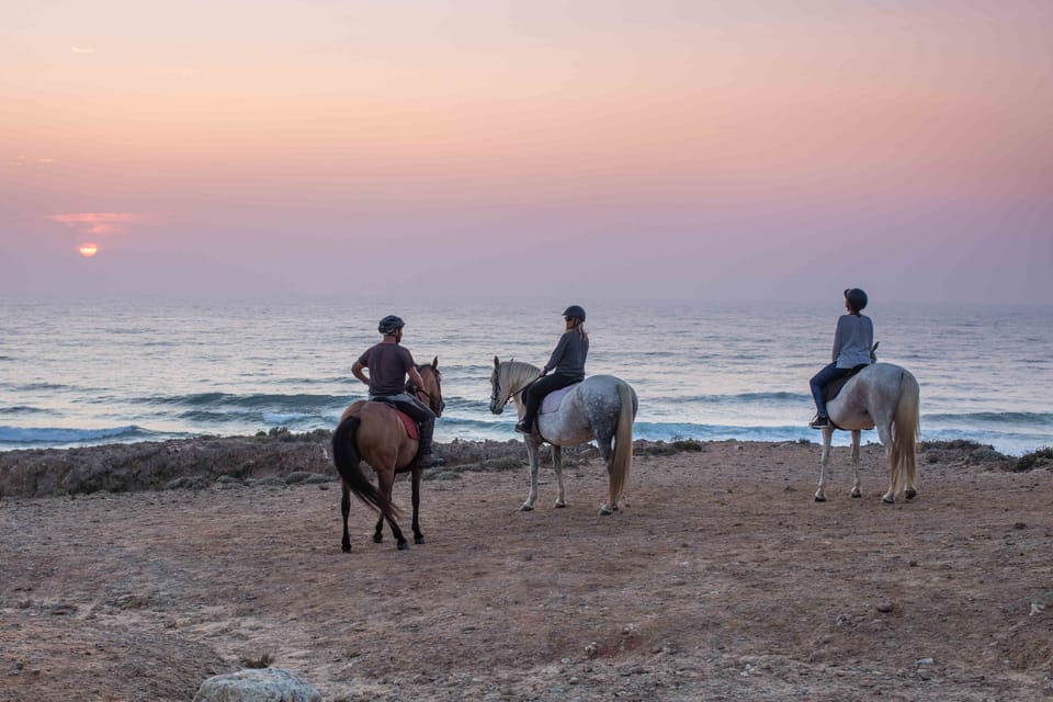 Algarve Horse Riding