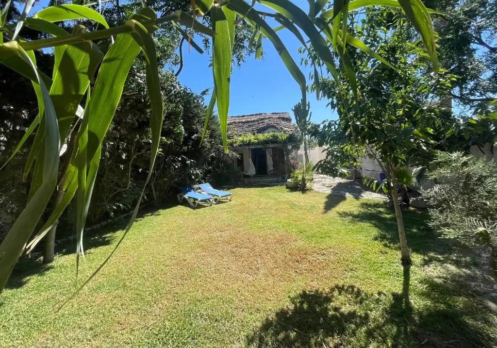 Chozito de paja – 300m. vom Strand – El Palmar de Vejer