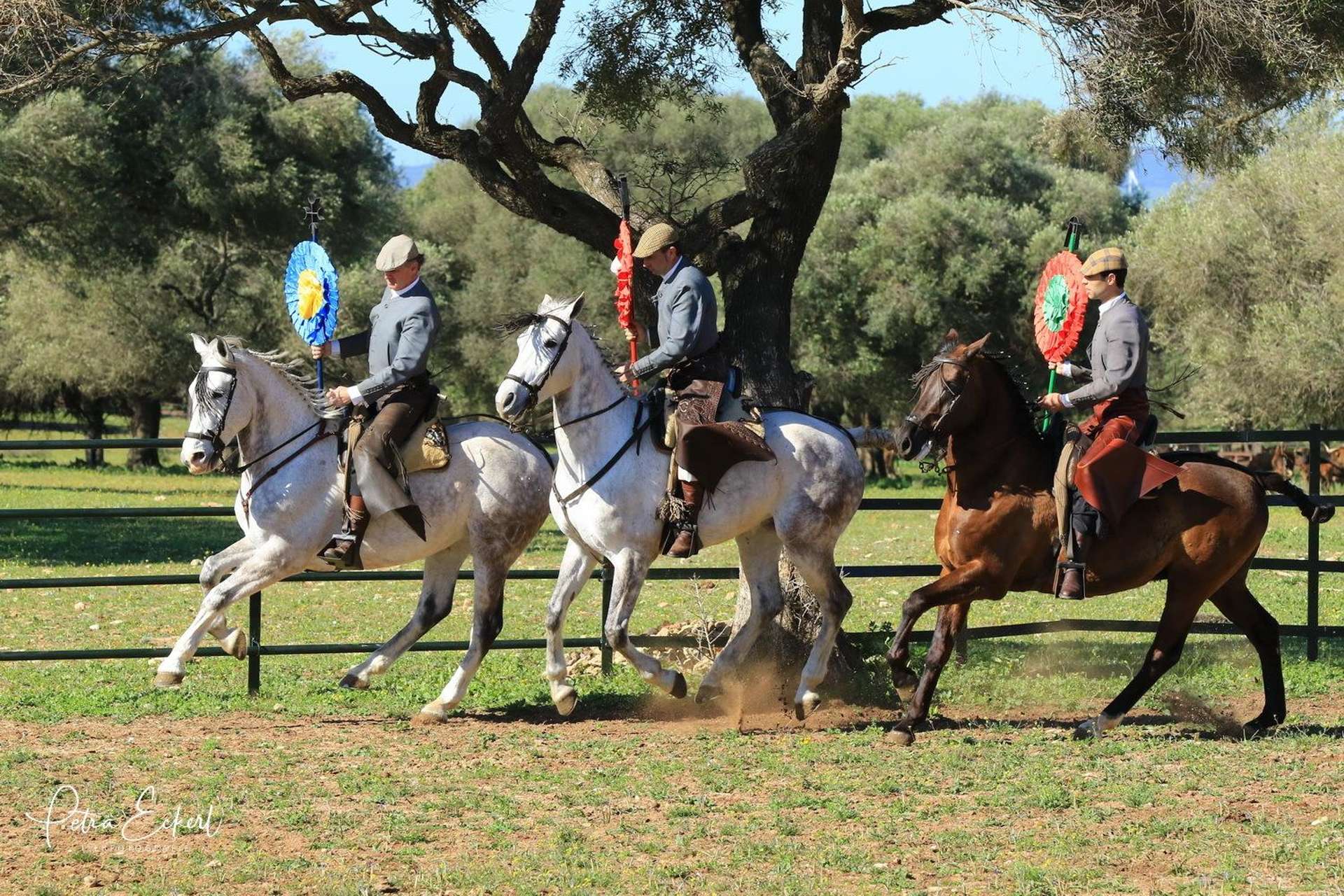 A Campo Abierto, Cádiz